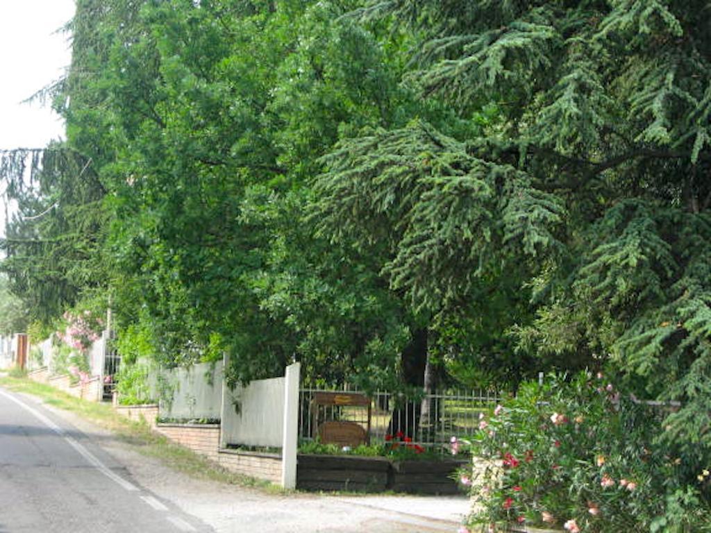 B&B Mama Ro Τσεζένα Εξωτερικό φωτογραφία